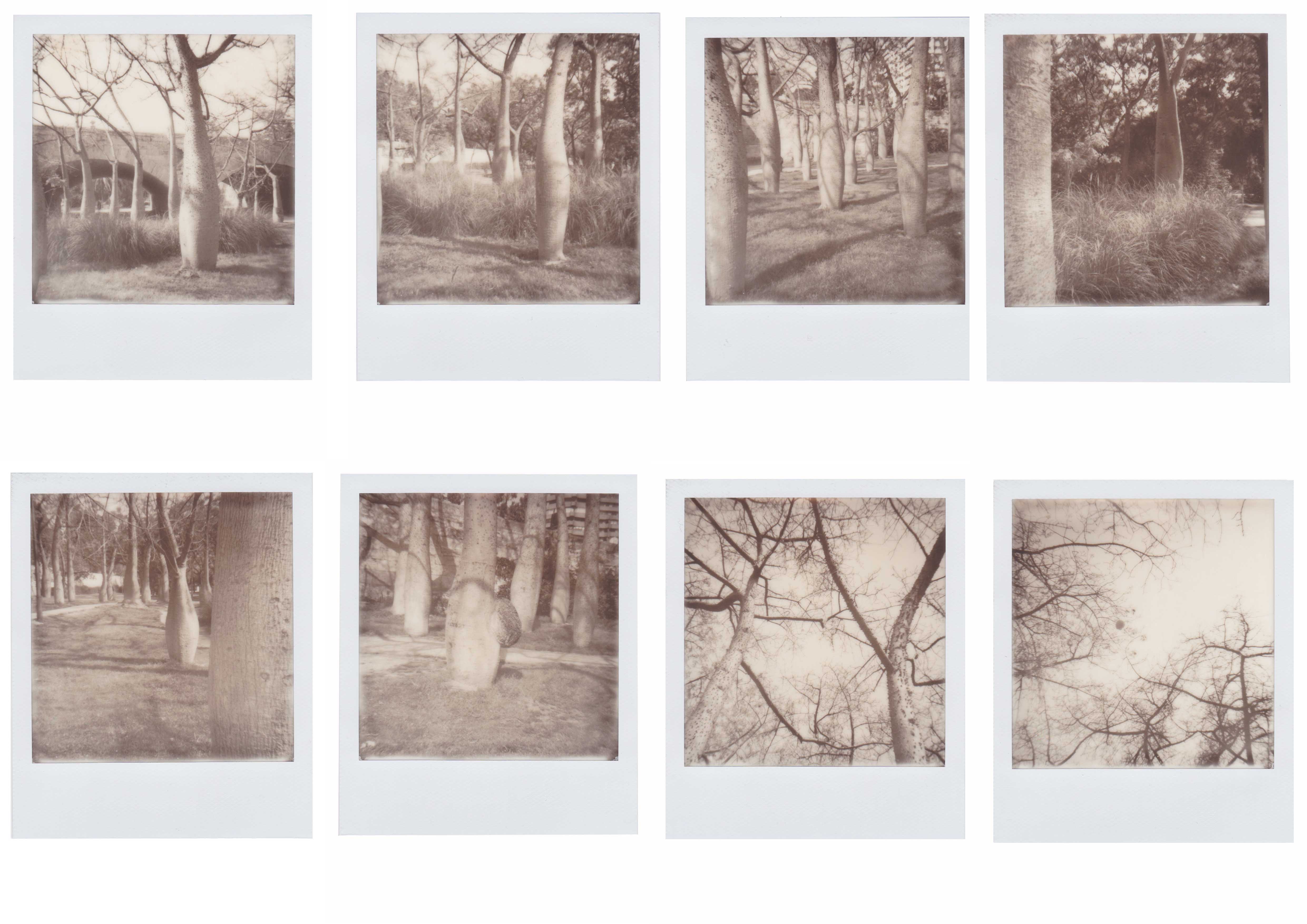 OverzichtPolariodserieZW